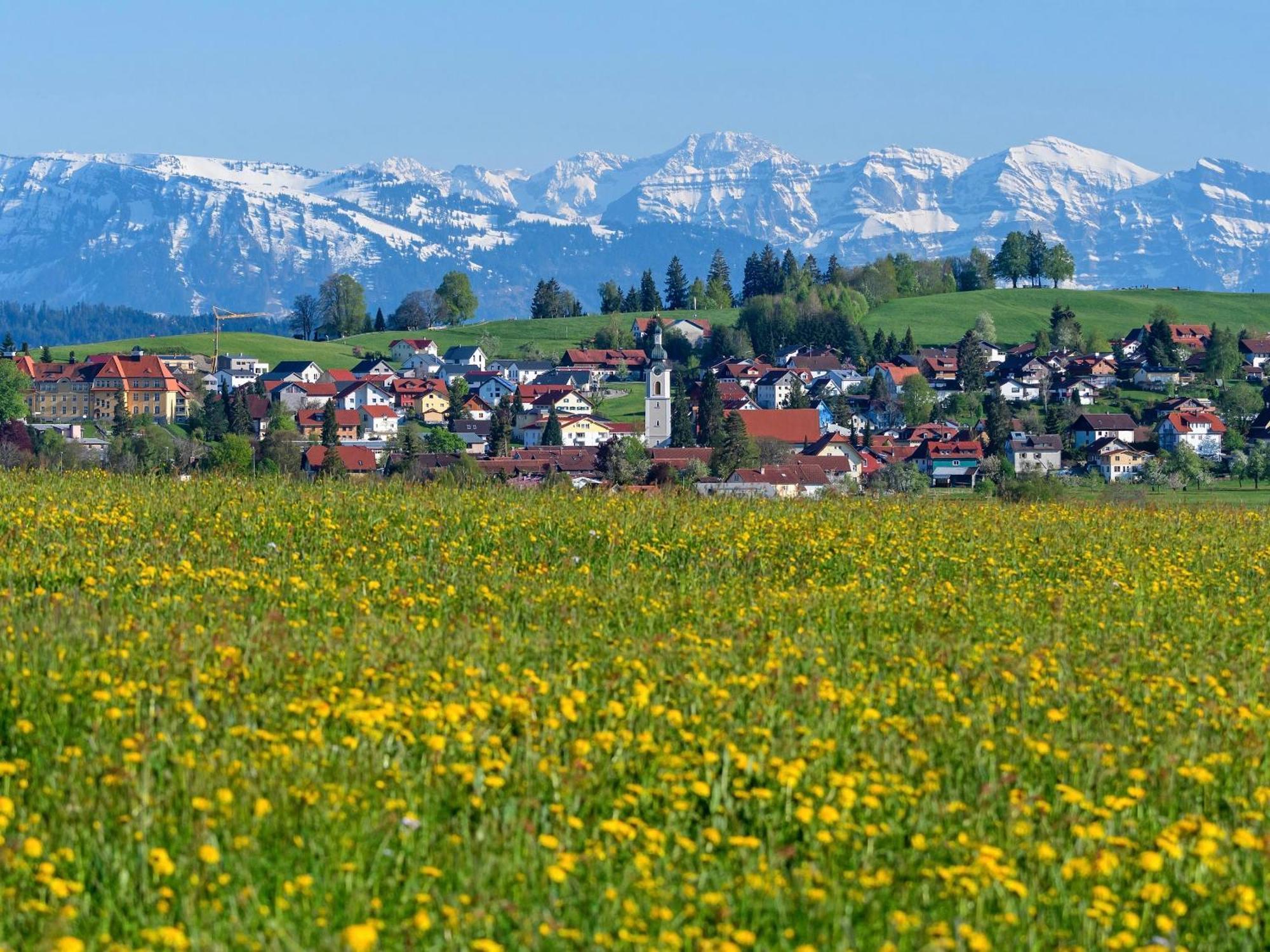 Kuhnest * Scheidegg